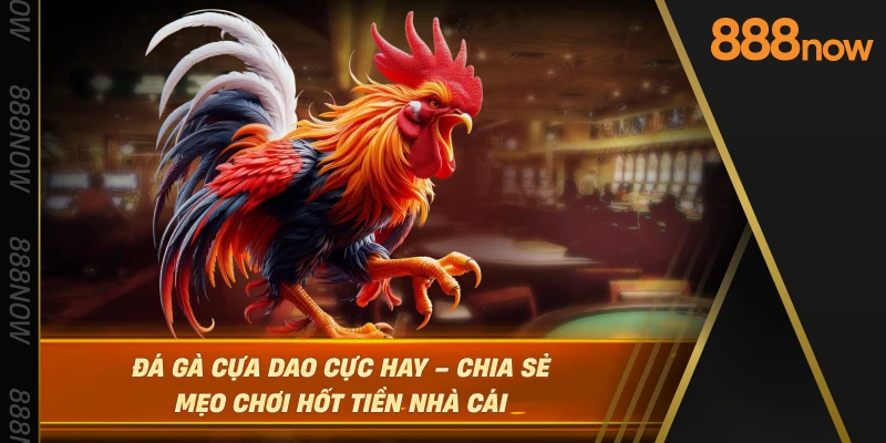 da-ga-cua-dao-cuc-hay-–-chia-se-meo-choi-hot-tien-nha-cai