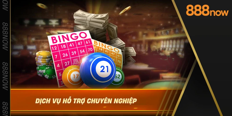 dich-vu-ho-tro-chuyen-nghiep