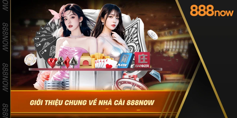 gioi-thieu-chung-ve-nha-cai-888now
