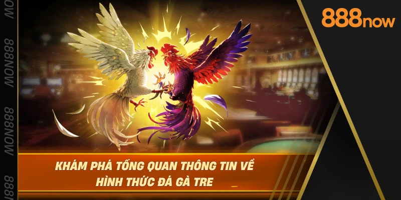 kham-pha-tong-quan-thong-tin-ve-hinh-thuc-da-ga-tre