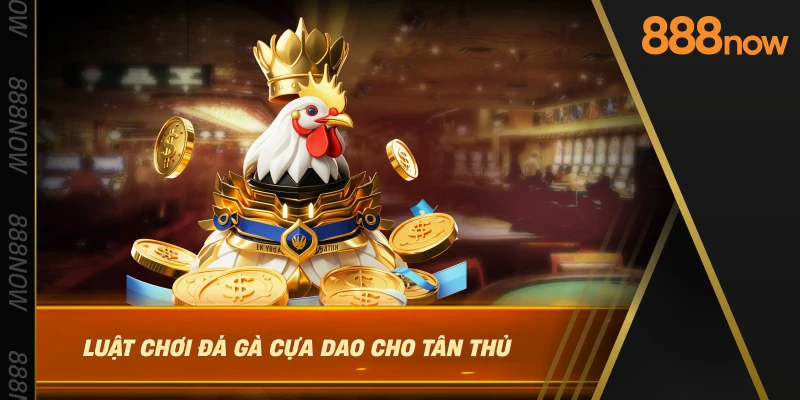 luat-choi-da-ga-cua-dao-cho-tan-thu