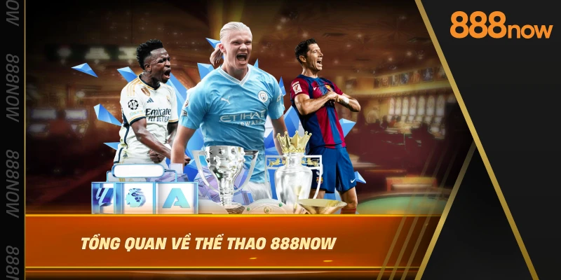 tong-quan-ve-the-thao-888now